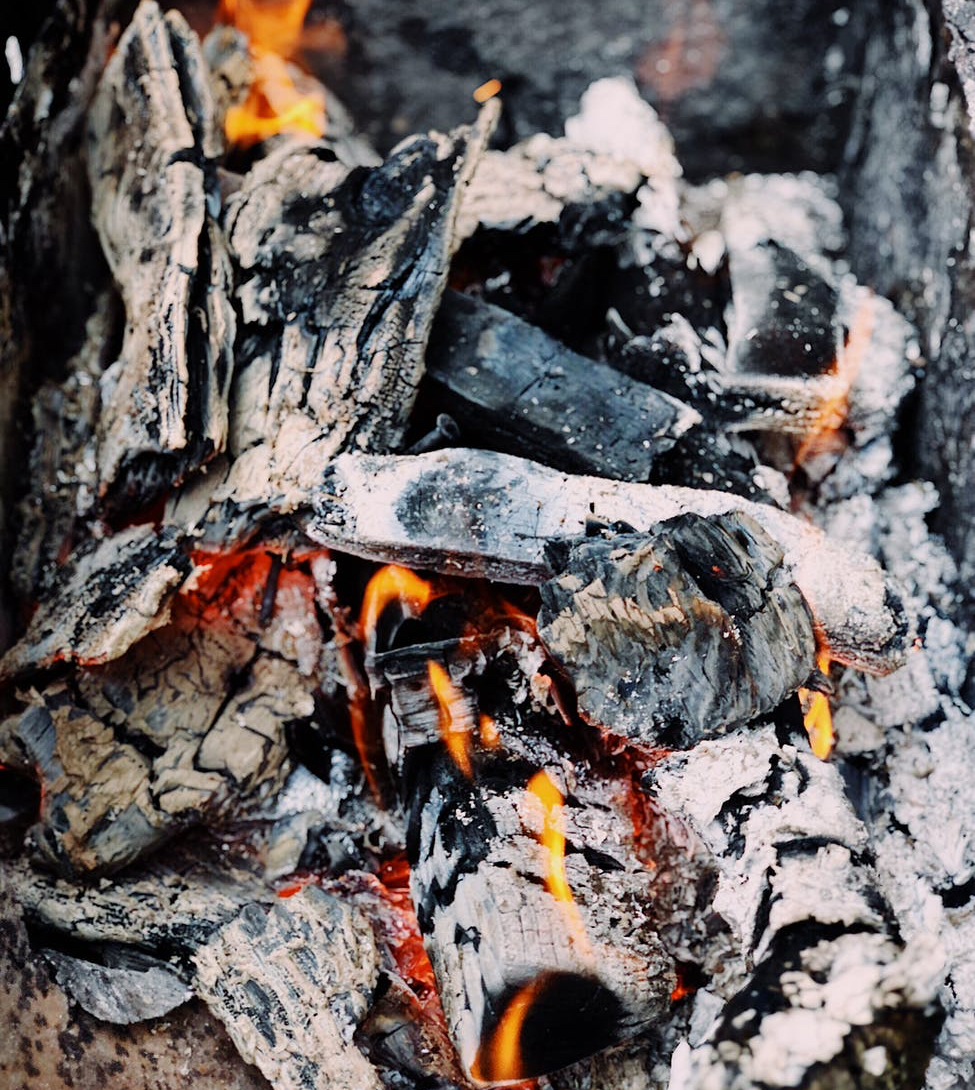 Hope in the Ashes